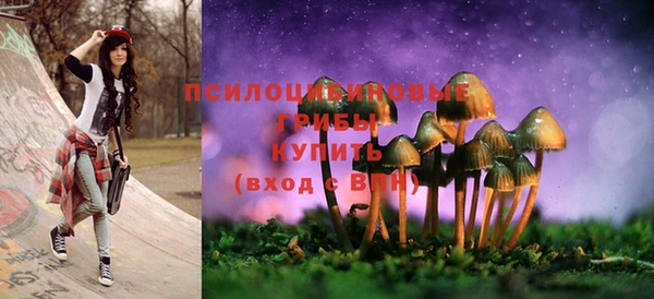 меф Пересвет