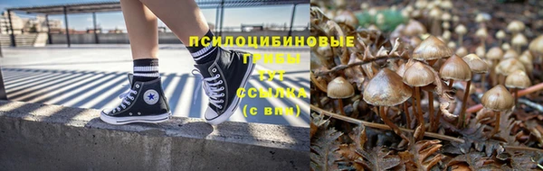 ГАЛЛЮЦИНОГЕННЫЕ ГРИБЫ Переславль-Залесский