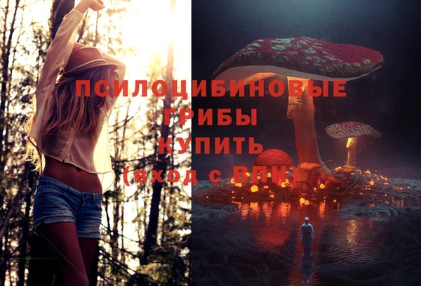 СК Пестово